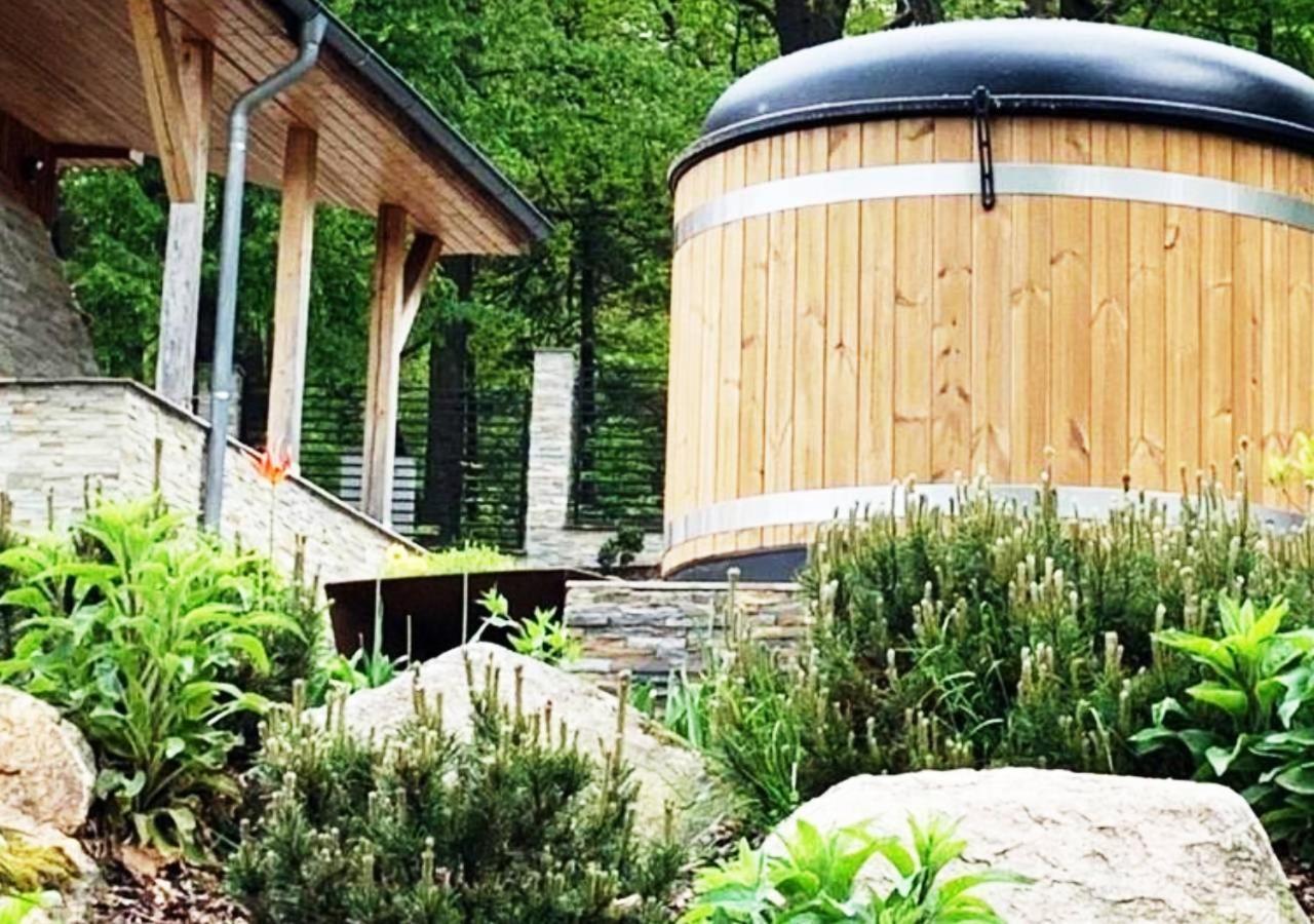 Zimowy Domek Boutique Rooms - Adults Only Vege Świeradów-Zdrój 外观 照片